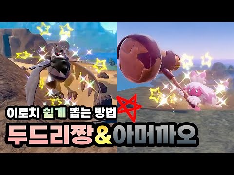 9세대 팔데아의 천적! 두드리짱/아머까오 이로치 공략