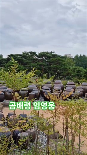 #곰배령 #임영웅 #인생힐링