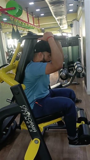 Lever Total Abdominal Crunch