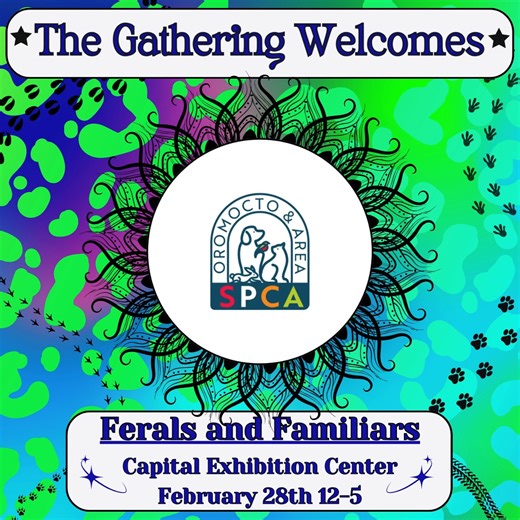 Meet Our Gatherer: Oromocto and Area SPCA Oromocto and Area SPCA joins us for The Gathering in February, and is one of our charitable recipients of our door donations!! “The Oromocto and Area SPCA helps over 1200 animals every single year from across NB by providing food, shelter and life saving medical care. We believe in community and helping families by providing community outreach programs such as the Kibble Food Bank, vaccine clinics and more.” Offerings include: Stickers, Coloring pages, T