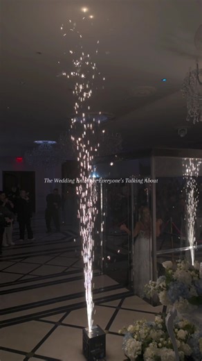Unforgettable Wedding Reception Entrance by Daniella & Adam