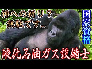 【国家資格】液化石油ガス設備士について‼