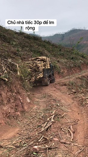 Tài khoản được đề xuất