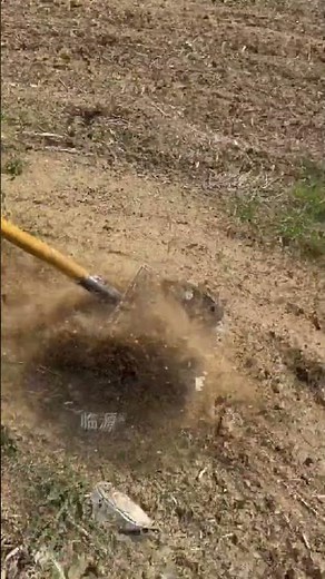 Top 10 Gardening Hacks: No More Weeds! GardeningHacks WeedControl LawnCare