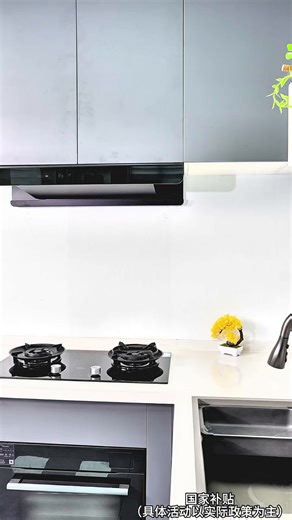 老板（Robam）双子星E2油烟机机皇27风量大吸力1320Pa静压油烟机搭D2/E2P灶抽油烟机烟灶联动一级能效E2S品质款 【机皇烟灶联动套装】E2+D