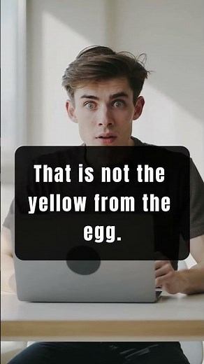 German Chaos English 🤣 | ◙ 006 | Hilarious Literal German Translations Explained