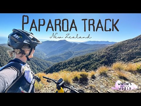 Paparoa Track In One Incredible day!