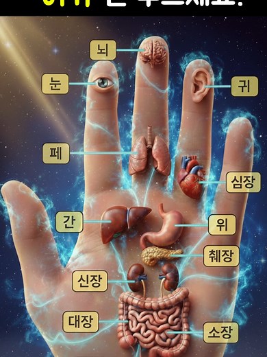 손바닥으로 전신 건강 챙기기