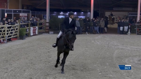 The first round of this year’s Lannoo Belgian Stallion Competition Powered By Euro Horse went great for our 6 y/o Quintino Royal Z (Quabri de l’Isle x Orlando x Grannus)!🤩 Despite a little misunderstanding between us on the 13th fence, he jumped an amazing round and beautifully showed us his qualities😍 Quintino will be available this breeding season with fresh semen, for more information, make sure to check out our website!💻 🎥: ClipMyHorse.TV België https://cavallini-horses.be/en/horses/quin