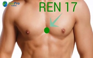 REN 17 — on the anterior midline, at the level of the 4th intercostal space, on the sternum Front-Mu of PC — Chest Center ✨ Functions & Indications: Brings Lung & Stomach Qi down — for coughing phlegm, acid reflux, heartburn, and hiccups. Influential Point of Qi — regulates Qi of the whole body. Opens and relaxes the chest — for chest pain, palpitations, and anxiety. Promotes lactation & clears the breasts — for mastitis or insufficient breast milk. 🌱If you enjoyed my graphics, check out my ill