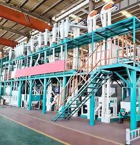 [Hot Item] 30-40 Tone Maize Milling Processing Machine Price for Africa Uganda Rwanda