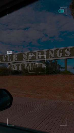 Make your days in the wild look like this in SIlver Springs State Park, Florida! 🚣‍♂️ Explore the crystal-clear waters by kayak, spy on gators, hike through the lush wilderness, and sleep under the stars. Craving more adventures? Add these to your vacation itinerary and discover what’s good in this corner of the Sunshine State: 🛞Off-roading in Ocala National Forest 🏛️Visiting historic St. Augustine 🦅Wildlife viewing in Talbot Island State Park 🏌️Golfing in Amelia Island 🚗SIlver Springs is 