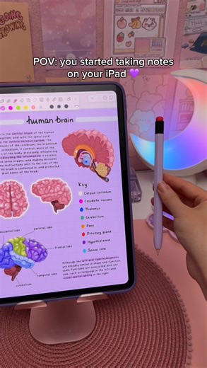 3.3M views · 84K reactions | iPad note taking in purple  I’m using Notability app on iPad pro with the apple pencil ✏️ #ipadnotes #digitalnotes #notability #ipadapp #ipadtips #digitalnotetaking #studynotes #notetaking #applepencil #aestheticnotes #digitalplanner #digitalplanning #ipad | HappyDownloads | Facebook