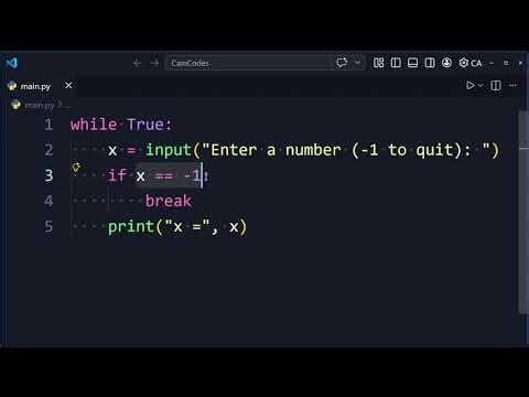 Why your Python input() loop doesn’t stop