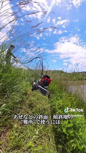 スパイダーモアの弱点と魅力を徹底解説🌿