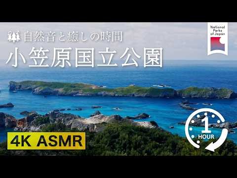 [4K] 自然音ASMR | 小笠原｜日本の国立公園
