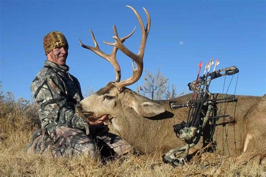 Colorado Mule Deer Hunting Tips & Tricks - Game & Fish