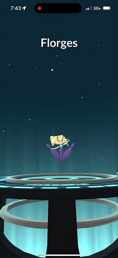 Evolving Shiny Yellow Flower Floette Into Shiny Yellow Flower Florges In Pokémon Go