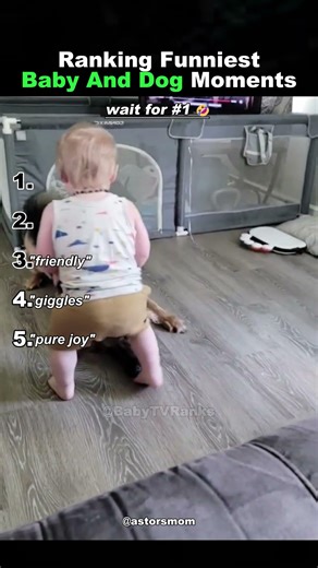 Ranking Funniest BABY And DOG Moments