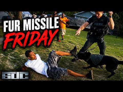 2 Suspects Find Out K9's Don't Play