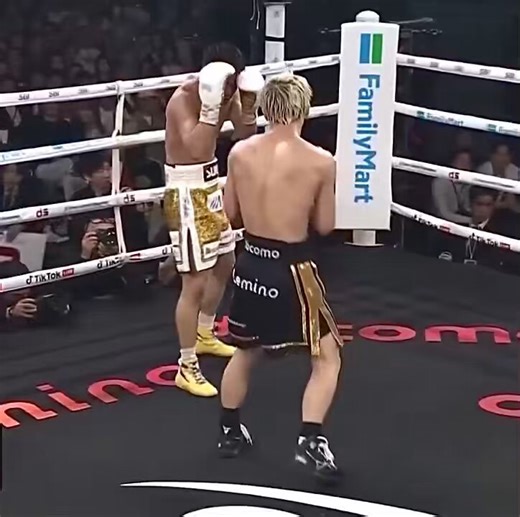 The only other fighter who could throw a combo like this with power in my lifetime is named Roy.