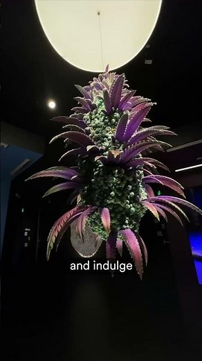 Inside THC NYC, New York City's Immersive Cannabis Museum