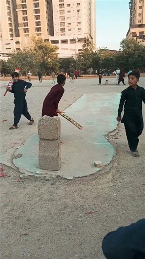 Bilal VS Abubakar Challenge Match 1 Over #youtubeshorts #viralvideo #cricket #ziavlogs