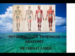 Introduction to Human Anatomy