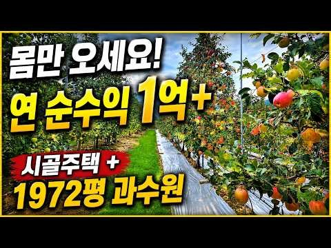 (Sale Pending)(Sale Pending) Just Bring Yourself! Apple Farm Ready for Immediate Profit | Country...