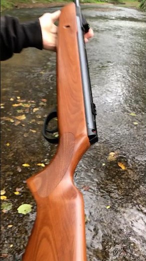 The best spring gun with impressive beauty and power