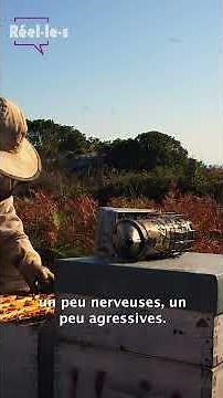 Immersion chez des apiculteurs | Réel·le·s