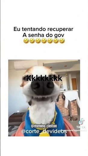 Tentando recuperar a conta no GOV