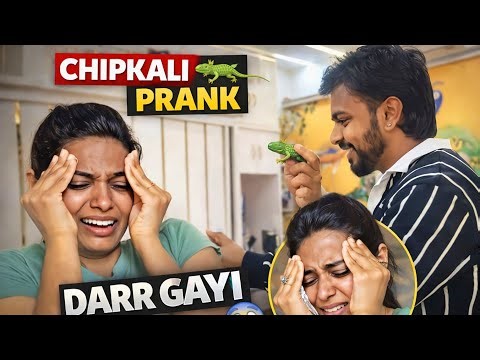 Funny Chipkali Prank On Wife 😂🦎
