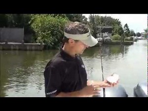 NEW PRODUCT - SUCTION CUP FLAT-LINE TROLLING CLIPS