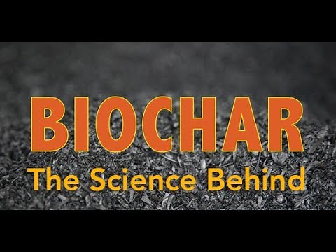 The Science Behind Biochar