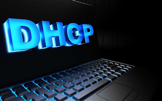 2. W5100S/W5500+RP2040树莓派Pico《DHCP动态配置网络信息》