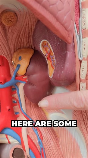 348K views · 3.3K reactions | The Best Habits to Prevent Kidney Damage // Protect your kidneys and reduce the risk of kidney damage by incorporating these simple habits into your daily routine. Learn how to keep your kidneys healthy and functioning properly. Discover the importance of a balanced diet, regular exercise, and stress management in preventing kidney disease. Take control of your health and start making positive changes today! #kidney #kidneyhealth | Janine Bowring | Facebook