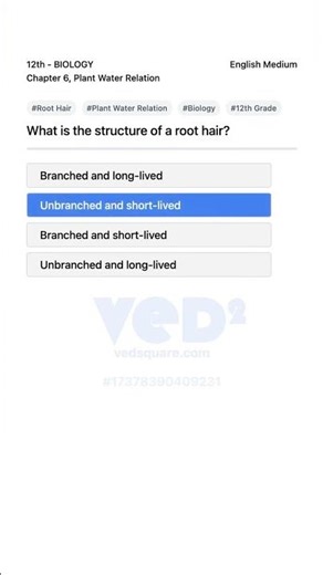 Root Hair Structure Explained Plant Water Relation Biology 12th