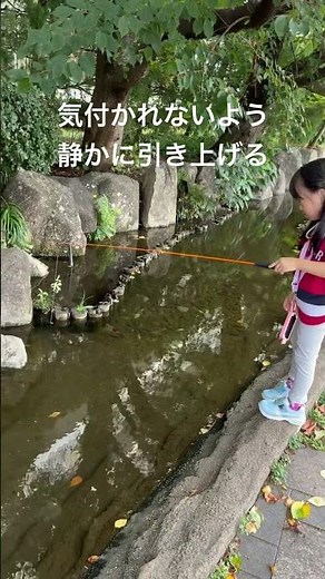 週末はザリガニ釣りへ。待って、集中して、やり遂げる。この体験が子どもの「生きる力」を育てる。#ザリガニ釣り #子育て #外遊び #ザリガニ #自然体験