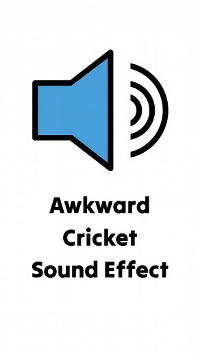 Awkward Cricket Sound Effect