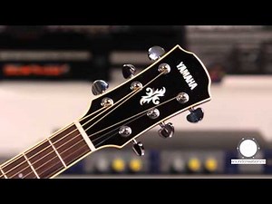 Yamaha APX 700 II electro-acustica, played by Horea Crișovan