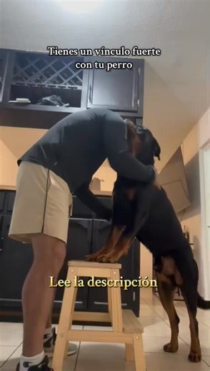 119K views · 4K reactions | Crear un vínculo fuerte con tu perro,...
