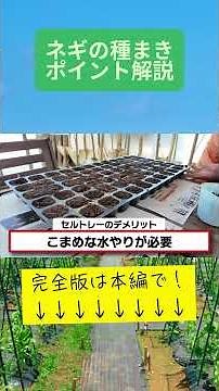 A thorough explanation of how to start growing onions in your home garden or farm and the key poi...