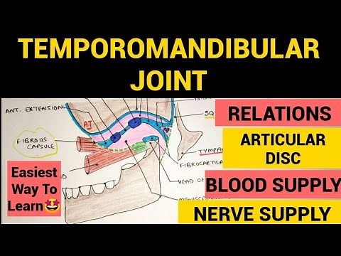 Temporomandibular Joint - 2 | Relations of TMJ | Articular Disc