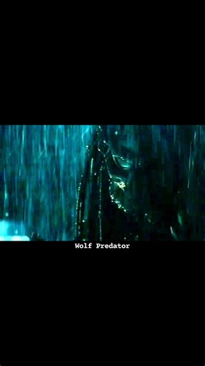 179 reactions | Wolf Predator. | Art Inthehark | Facebook