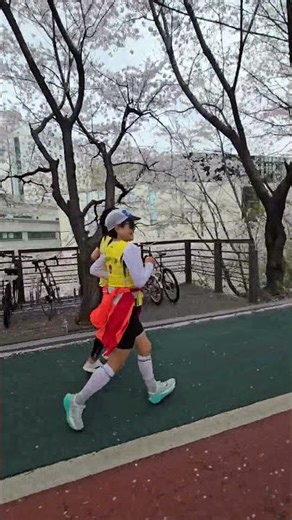 달려야 산다.(송파둘레길21km)