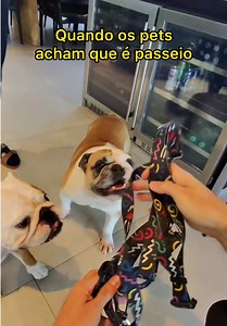 Nada como enganar seu pet, prometendo um passeio e terminando com um termômetro enterrado no botico neh? Mas, é pro bem deles, sempre! E dessa vez foi pra aplicarmos o Bravecto 365, que com apenas uma dose anual protege seu pet contra pulgas e carrapatos e te ajuda a planejar melhor e evita que vc esqueça. @MSD Família Pet @msdsaudeanimal #Publicidade #MSDSaúdeAnimal #MSDFamíliaPet #Bravecto #ComBravectoPode Consulte seu medico veterinário para saber mais sobre a aplicação.