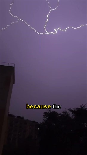 Spiders can fly and no one told you 🕷️