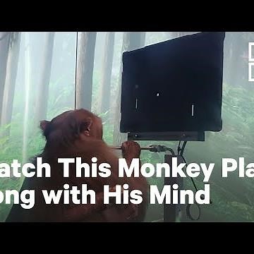 Monkey Plays Pong With Elon Musk's Neuralink Co.