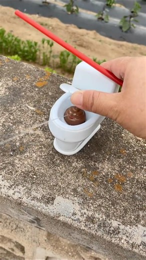 রিংকু এসব কি রেখেছে🤯 #vairal #shorts